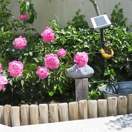 法尔肯福斯豪斯酒店 3*